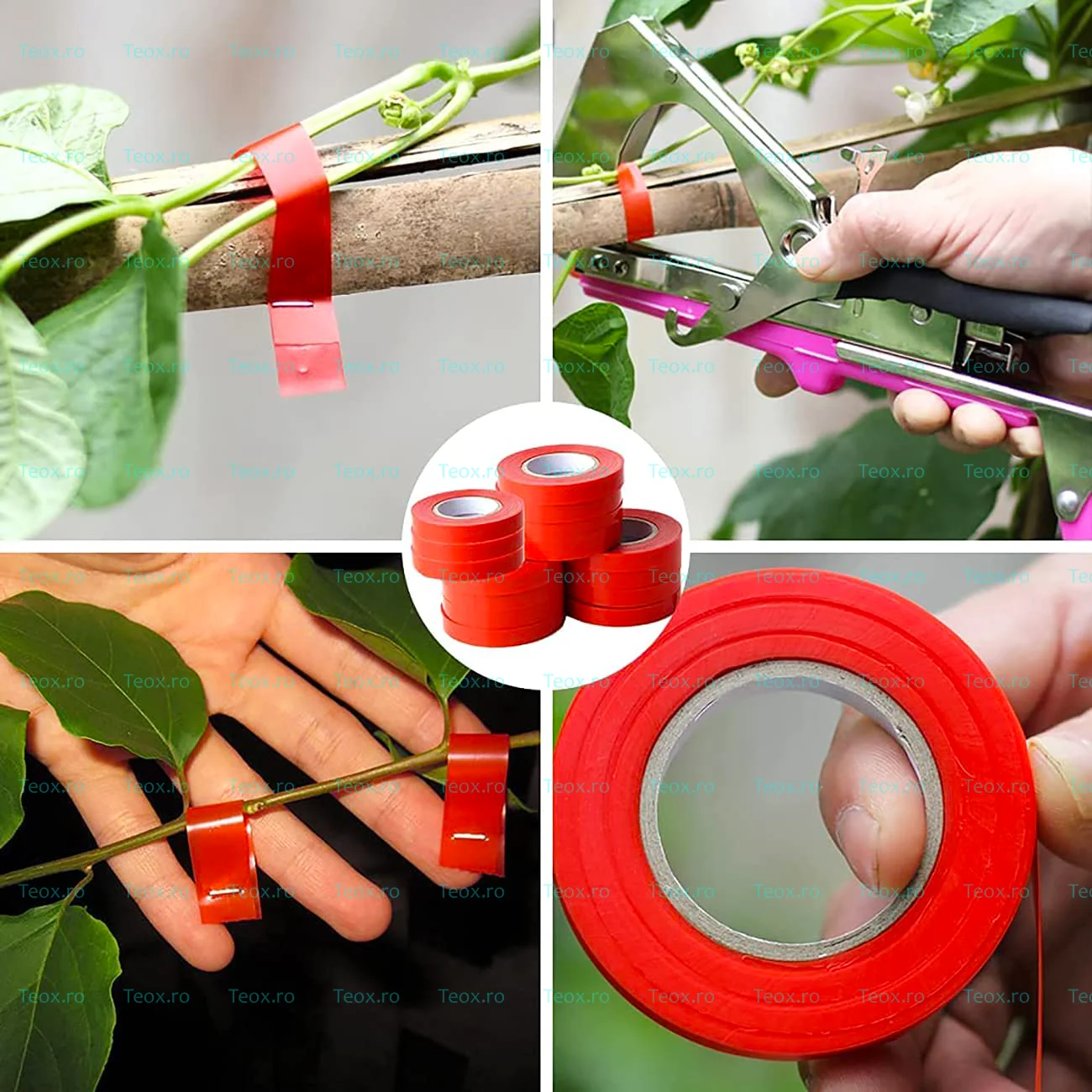 Aparat-legat-vita-de-vie-legume-plante-flori-palisat-Teox-5-1.webp