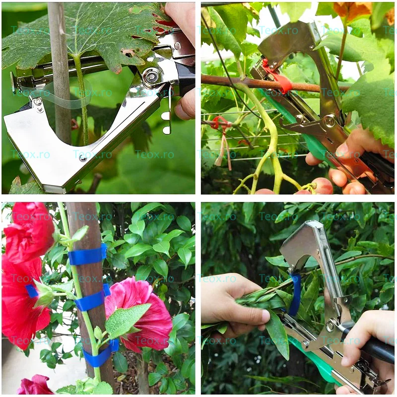 Aparat-legat-vita-de-vie-legume-plante-flori-palisat-Teox-6-1.webp