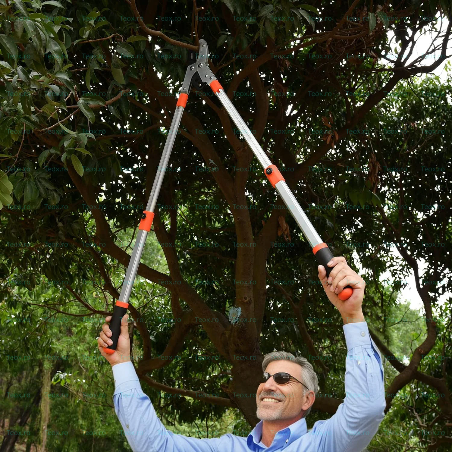 Foarfeca-Extensibila-Taiat-Crengi-Groase-Telescopica-Aluminiu-Totokita-5.webp Foarfeca Extensibila Taiat Crengi