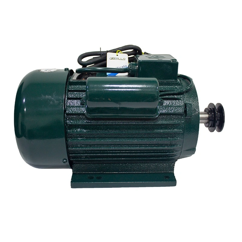 Motor-electric-monofazat-2200w-1500rpm-fonta-fulie-Teox-ro-2.webp