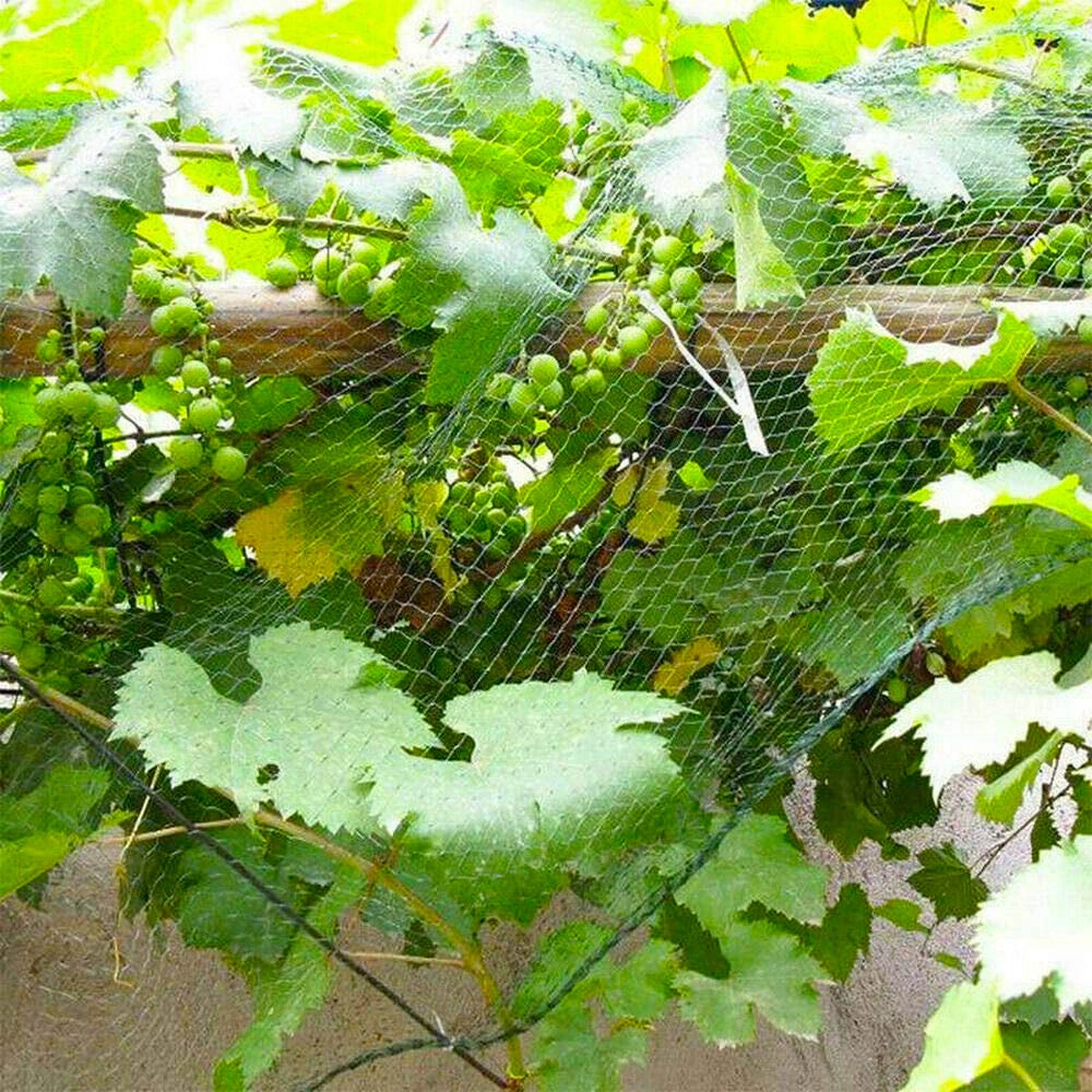 Plasa-Antipasari-Protectie-Gradina-2m-x-10m-verde-3.webp