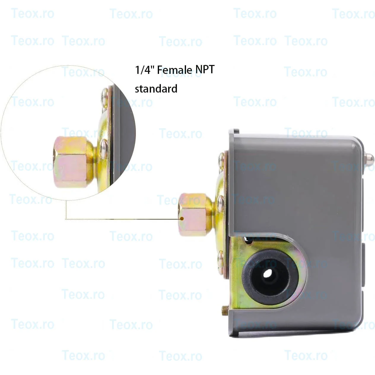 Presostat-Hidrofor-Mecanic-Electronic-cu-piulita-olandeza-teox-totokita1.webp