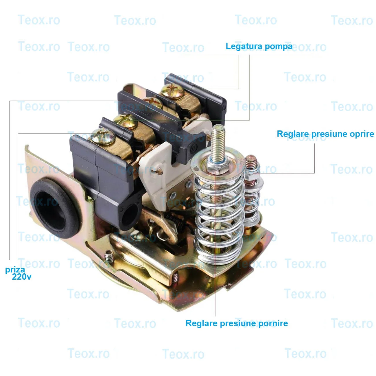 Presostat-Hidrofor-Mecanic-Electronic-cu-piulita-olandeza-teox-totokita4.webp