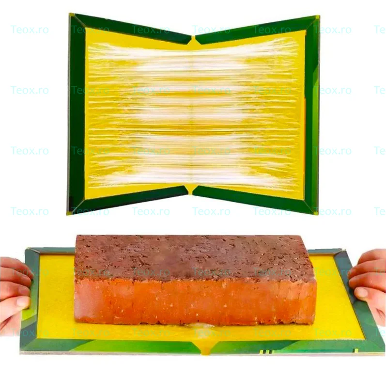 Capcana Lipici Soareci Solani Gandaci tip carte set 10 buc