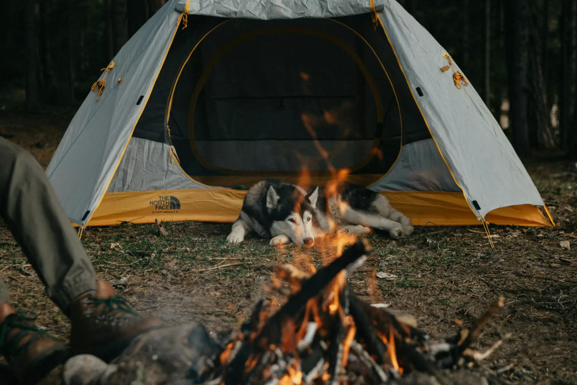Cort camping drumetii