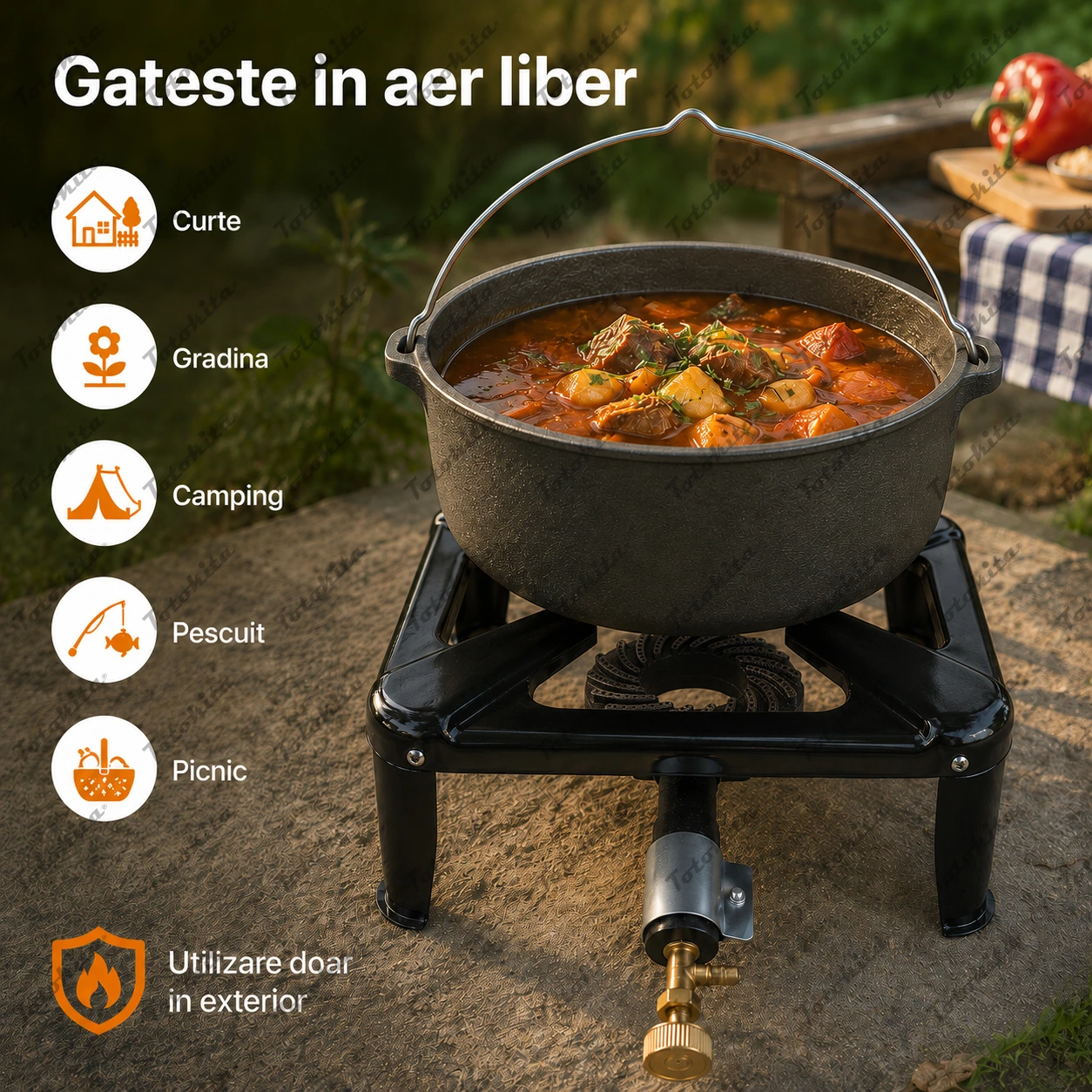 Pirostrie Gaz 40 cm de 6.5 kW