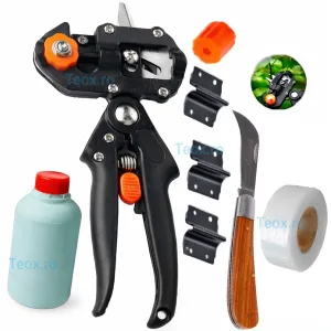 Set Cleste Altoit Pomi Vie Totokita