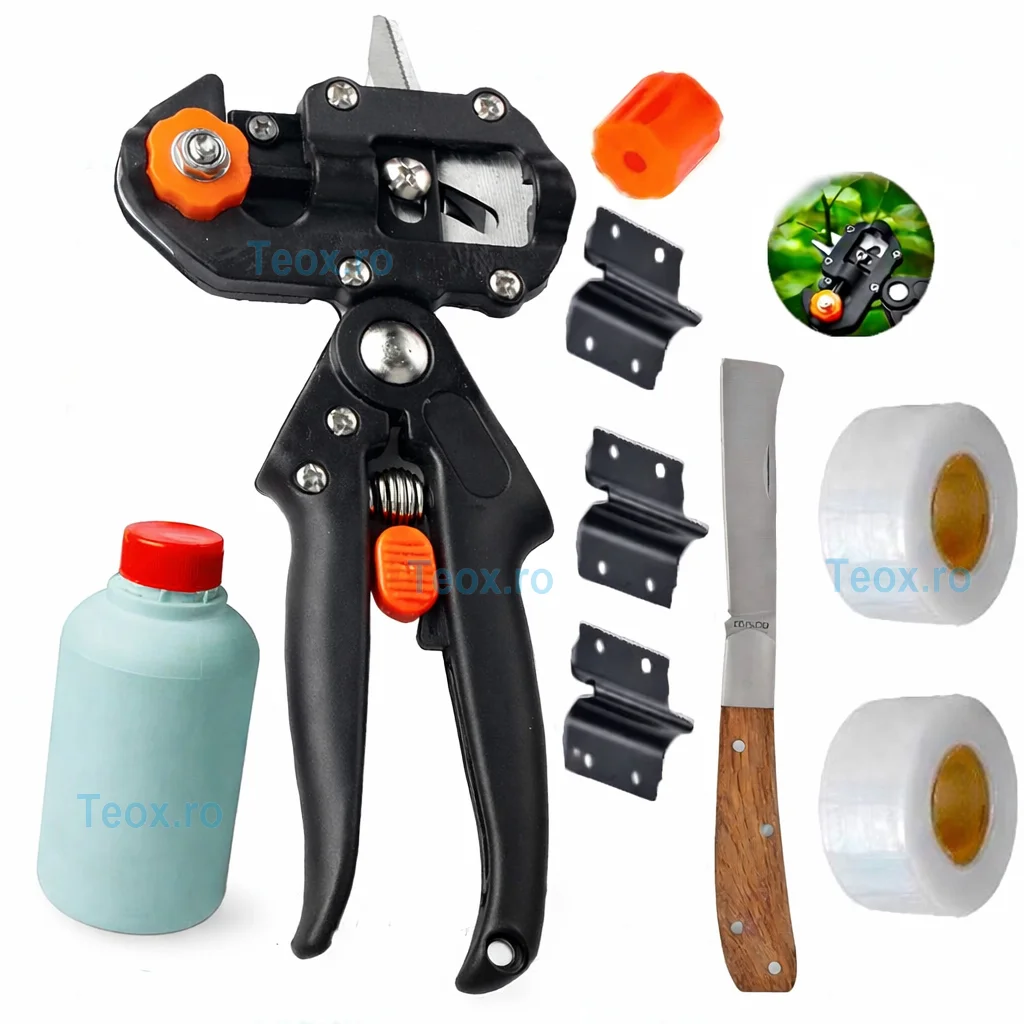 Set Cleste de Altoit Totokita Set Cleste de Altoit Totokita